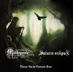 Müldeponie : Descent into the Enchanted Forest